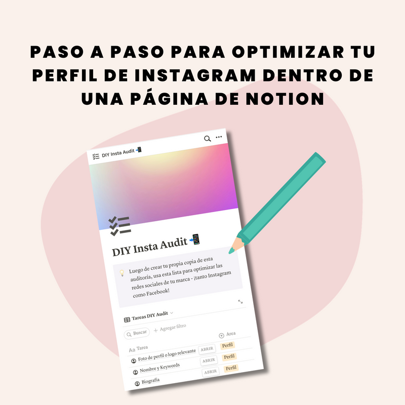 DIY Insta Audit